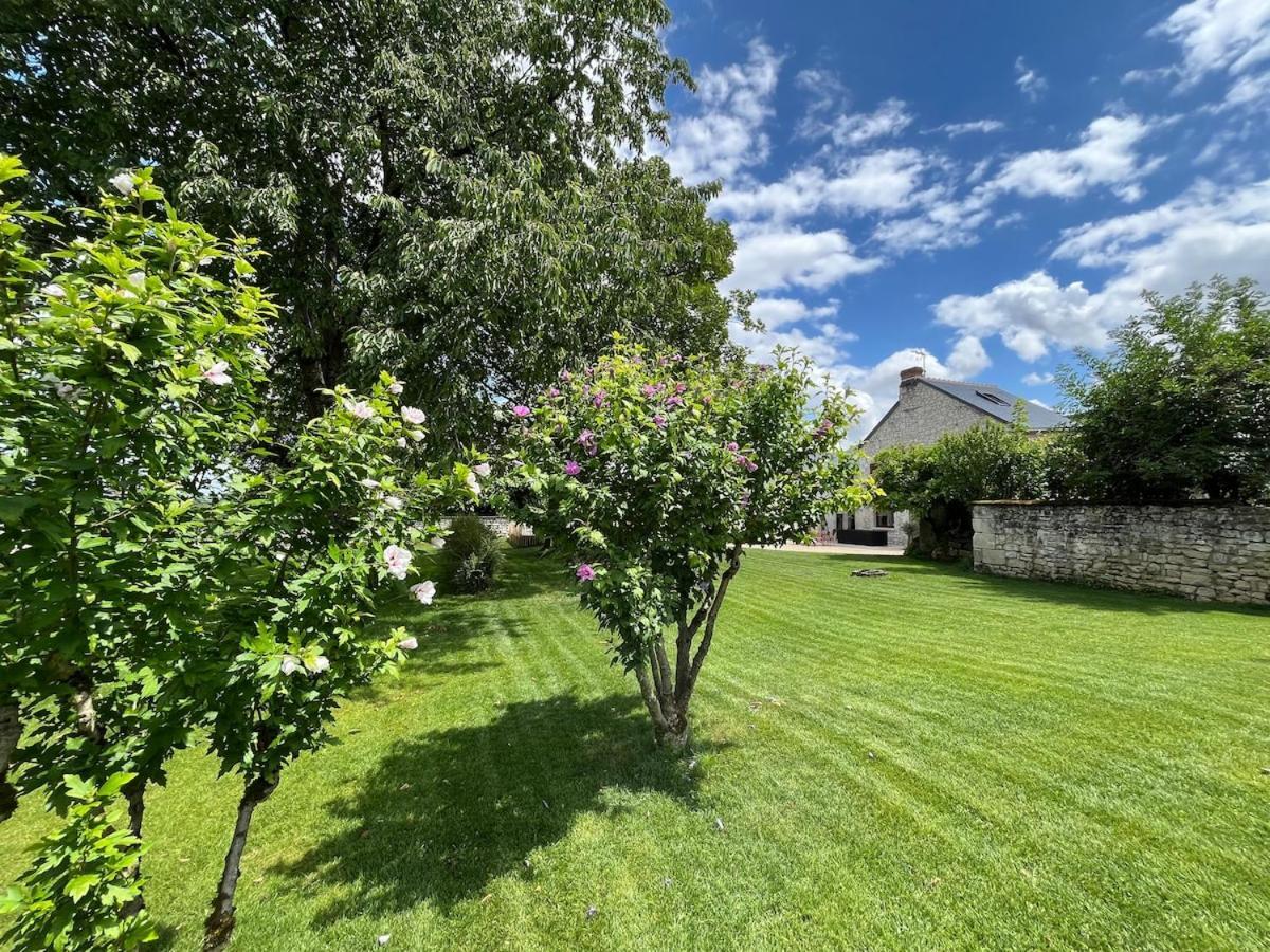 Hébergement de vacances Du Puits Chauveau Vignes Chateaux 8pers *